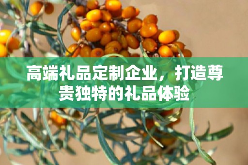 高端礼品定制企业，打造尊贵独特的礼品体验