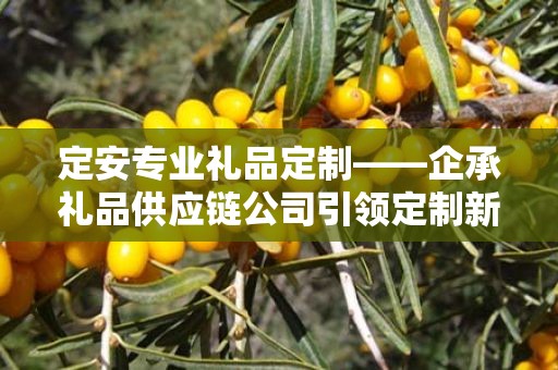 定安专业礼品定制——企承礼品供应链公司引领定制新风尚