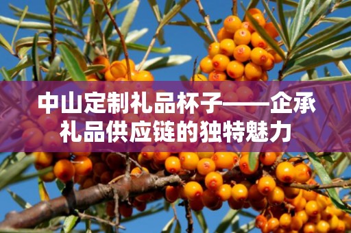 中山定制礼品杯子——企承礼品供应链的独特魅力